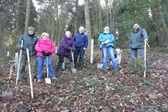 Wyevale Nurseries supplies trees to Malvern Hills Trust