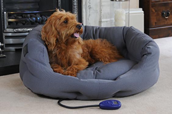 Hot dog pet products - heated dog beds