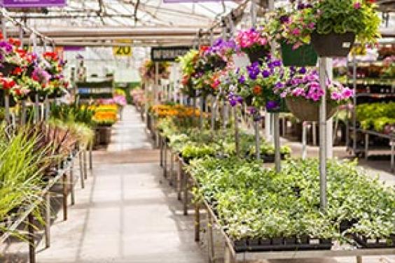 keep cash flow active in garden centres 