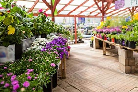 credit insurance guarantee for garden centres 