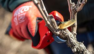 new felco electric secateur